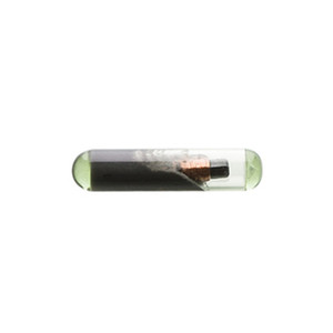 Chiavi Silca Trasparenti Chip T48 per Auto Gr.92 - Product Image 1