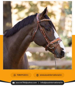 Ahara-riel de nafla ognac para coche inteligente, accesorio que incluye herramientas de instalación - Product Image 5