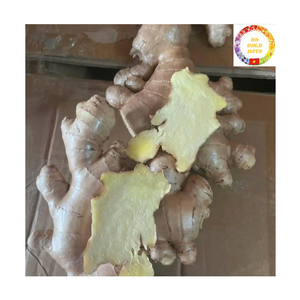 Cubos de Jengibre Orgánico Congelado IQF, Jengibre Fresco Entero Pelado Directo de Fábrica en Vietnam, Solución Premium para el Mercado de Especias - Product Image 2