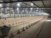 Poulailler préfabriqué en structure acier avec panneaux sandwich isolés pour poulets de chair