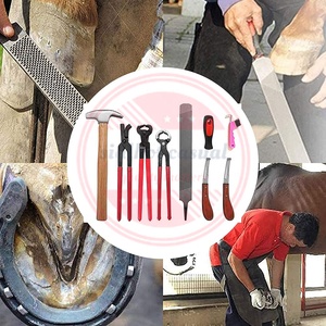 Kit de herramientas de caballos de herradura, de 16 pulgadas Juego de alicates de herradura, cortador de hoja raspadora, 8 Uds. - Product Image 5
