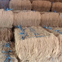 Fibre de coco en gros - ignifuge et résistante aux produits chimiques pour le filage et les fermes, matériau naturel en stock et livraison rapide