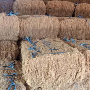 Fibre de coco en gros - ignifuge et résistante aux produits chimiques pour le filage et les fermes, matériau naturel en stock et livraison rapide - Product Image 6