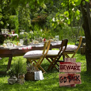 Step Up droite jardin signe fer jardin signes personnalisé conçu en métal étain en gros pas cher de vendeur indien avis coq Direction - Product Image 6