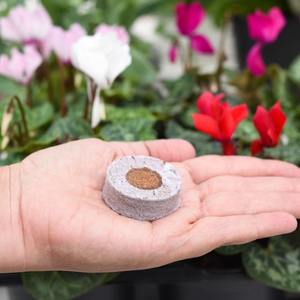 Coco peat-Tapón de disco de coco, pastillas de musgo, sistema hidropónico vertical para agricultura - Product Image 4