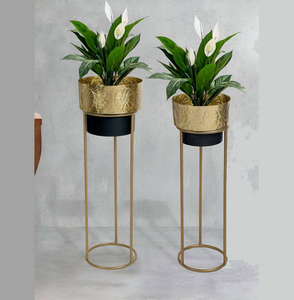 Jardinières modernes de luxe en métal avec support en fer pots de fleurs décoratifs élégants pour intérieur extérieur maison jardin balcon pépinière patio - Product Image 3