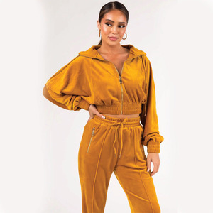 Tenues personnalisées de haute qualité Top court en velours Sweats à capuche Survêtement Survêtement en velours Survêtements de velours Jogging pour femmes Survêtement en velours - Product Image 2