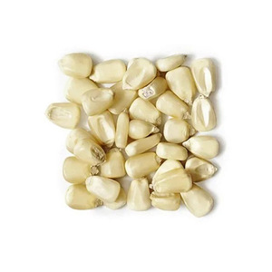White maize for sale in large volumes trusted supplier best price - Product Image 3