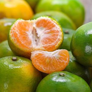 Clementines fraîches de qualité supérieure - Classe I Sans pépins Faciles à peler - Mandarines sucrées à haute teneur en Brix Qualité d'exportation Vente en gros - Product Image 2