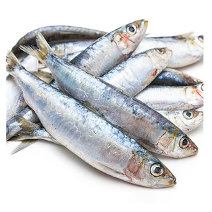 <span class=keywords><strong>Sardinas</strong></span> Congeladas 200-300g al por Mayor IQF BQF <span class=keywords><strong>Sardinas</strong></span> Enteras Redondas para Cebo - Product Image 2