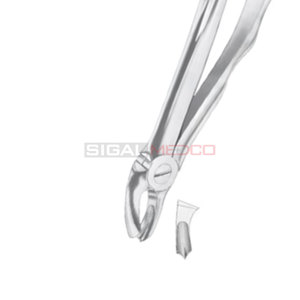 Fig. 17 Molares superiores Derecha Fórceps de extracción de dientes de diferentes tamaños Instrumentos médicos dentales Precio al por mayor Proveedor a granel - Product Image 5