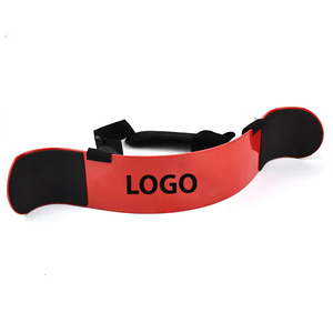 Logo personnalisé Arm Blaster Factory-Made Biceps Curl Triceps Equipment pour hommes et femmes Gym Fitness Equipment Accessoire - Product Image 1