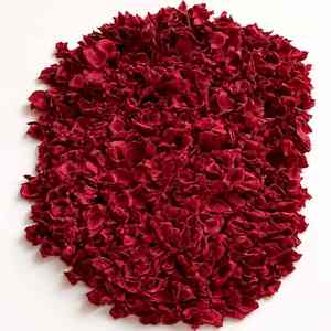 Flores de Hibisco Secas Cósmicas al por Mayor - Secado Natural, Ecológico y de Larga Duración para el Día de la Madre, Graduación y Bodas - Product Image 1