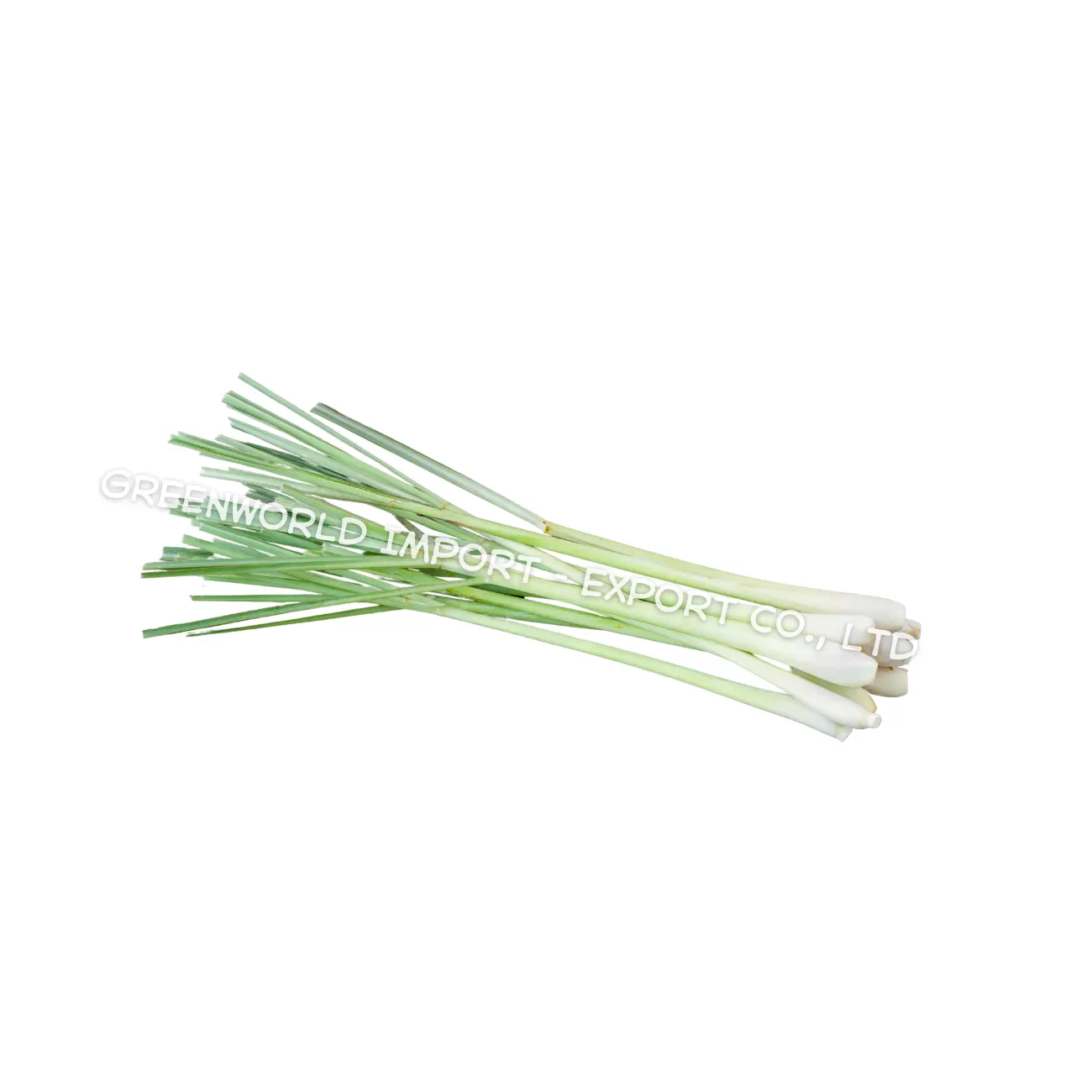 BEST FROZEN CITRONELLA - LEMONGRASS FROZEN HIGH QUALITY FROM VIETNAM - SPICES MAKE YOUR FOOD DELICIOUS AND GOOD FOR HEALTH