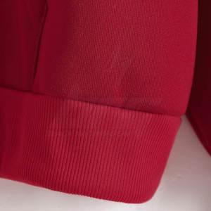 Sweats à capuche pour hommes en gros de qualité supérieure 2025 quantité en vrac prix bon marché sweats à capuche en coton mélangé - Product Image 6