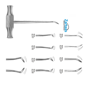 Elevadores de Punta de Raíz de Acero Inoxidable de Alta Calidad, Fabricante y Exportador de Instrumentos Dentales WINTER - Product Image 2