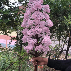 Arbre de perles naturelles de pierre précieuse - Product Image 1