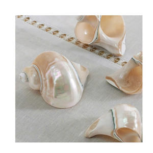 Anillo para Servilletas con Diseño de Concha Marina, Porta Servilletas con Detalles de Concha para Fiestas Temáticas de Playa, Anillo para Servilletas de Concha Marina, Decoración de Bodas - Product Image 5