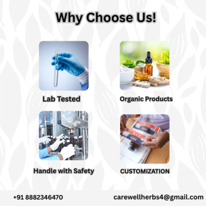 Coleus Forskohlii Suppléments à base de plantes Capsules de forskoline de meilleure qualité Extrait de racine de Coleus Forskohlii Supplément amincissant pour le ventre - Product Image 3