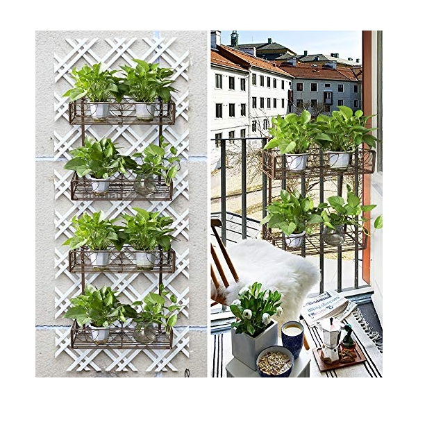 dragon fruit plant trellis Dragon fruit PVC (Schedule 40) Trellis (54" tall) Long Lasting Light W   Mayumi Garden