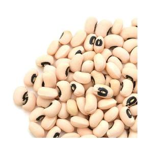 Frijol Vigna de ojo negro blanco secado a granel con atractivo para los ojos - Product Image 3