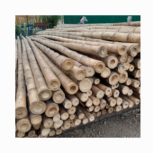 100% Poteaux en bambou jaune traité naturel Poteau droit Bambou de la forêt Ville natale Poteaux en bambou de grande taille avec différentes tailles - Product Image 1