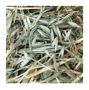 หญ้าเทอมิโธ่คุณภาพ หญ้าข้าวโอ๊ตคุณภาพ/ หญ้าเทอมิโธ่และโคลเวอร์ลูเซิร์นในก้อน/หญ้าข้าวโอ๊ตหญ้าเบอร์มิวดา - Product Image 1