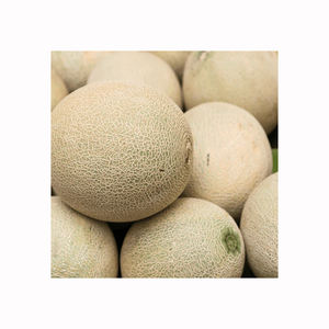 Melón musk fresco y jugoso, fruta tropical aromática madura, calidad premium, suministro al por mayor a granel, mercado de exportación - Product Image 5