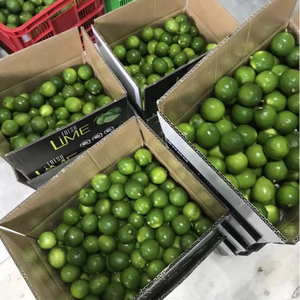 CAL SIN SEMILLAS FRESCAS DE VIETNAM ALTA CALIDAD - Product Image 5