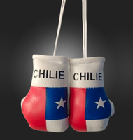 Guantes de Boxeo Mini Personalizados y Duraderos con Diseño de Bandera de País, Llavero Colgante para Auto de Cuero PU, LAST STAR INDUSTRY, Bosnia, Grecia