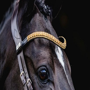 คริสตัลทองคํา 3 แถวหรูหราส่องแสงเพชร rhinestones ตกแต่งวงคิ้วหนังม้าคลื่นลึกในซังเต็มขนาด - Product Image 3