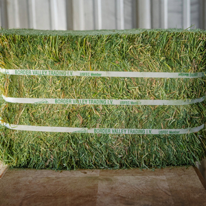 Heno de Alfalfa Natural de Primera Calidad, Color Amarillo, Suministro a Granel en Bolsa para Alimentación de Ganado, Perros y Peces, Mejor Precio Disponible Ahora - Product Image 4