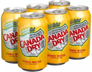 Venta al por mayor Canada Dry Ginger Ale 16 FlOz (355 Ml) - Product Image 5