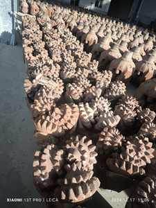 Brocas Tricónicas en Venta, TCI y Dientes Fresados, Cuerpo de Acero Aleado Grado HMS, Smith Baker Hughes Halliburton SCRAP - Product Image 4