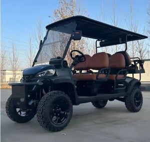 Carrito de golf de calidad Carros de golf eléctricos Modelos de 2 y 4 plazas disponibles - Product Image 2