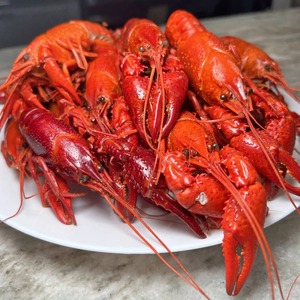 ข้อเสนอพิเศษ กุ้งเครย์ฟิชแช่แข็ง คุณภาพสดใหม่ สำหรับผู้ซื้อส่ง ผู้นำเข้า ผู้จัดจำหน่าย และลูกค้ารายใหญ่ - Product Image 2