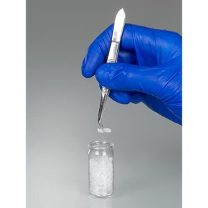 Pinzas fijas de acero inoxidable resistentes a la corrosión, con forma curva para uso en laboratorio, para manipulación de alimentos y productos químicos - Burkle GmbH - Product Image 2