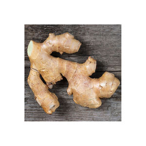 Jengibre para aumentar la tasa metabólica y la pérdida de grasa - Product Image 4