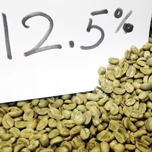 High Grade AA+ Organic Arabica Green Coffee <b>Beans</b> S16 Vietnam ISO 22000 Certified 1000kg <b>Bags</b> Bulk Supply Direct Factory Export - Product Image 1