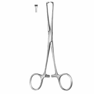 INTESTINES Y ESTÓMAGO alimentados por maquinaria que cumplen con el estándar de seguridad MOL - Product Image 3