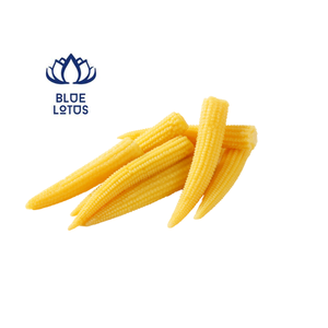 Maïs de bébé pour la cuisine-produit de haute qualité du Vietnam - Product Image 1