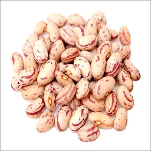 Lighit Speckled Kidney Beans