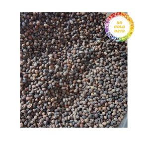 เมล็ดมะละกออบแห้งแบบพรีเมี่ยมทำความสะอาดเต็มที่เหมาะสำหรับการส่งออกและจำหน่ายในปริมาณมาก - Product Image 4