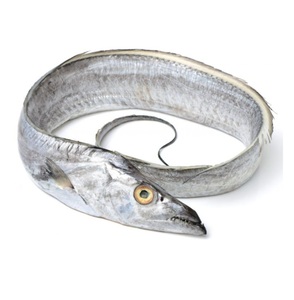 Poisson ruban frais congelé entier et rond, en vente - Product Image 4