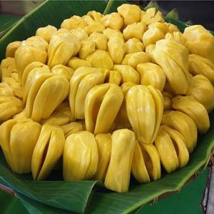 Supplier Frozen Whole Jackfruit Natural <b>Sweet</b> Fresh and Frozen Jackfruit with Seed Bulk High Quality - Product Image 6