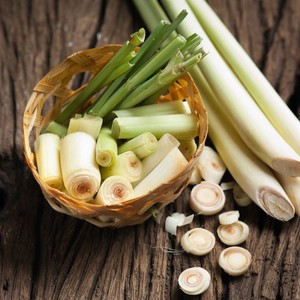 Hierba de limón fresca más vendida, precio más bajo, hierba de limón al por mayor, Exportación de Vietnam - Product Image 3