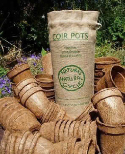 Pots plantés en fibre de coco écologiques disponibles pour une croissance saine des plantes - Product Image 2