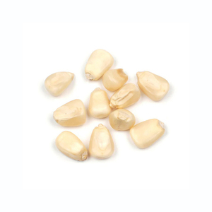 Maïs blanc de qualité supérieure à bas prix, grains préparés pour les commandes de gros volumes - Product Image 3