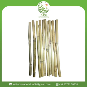 Pajitas de caña de bambú sostenibles Pajitas para beber amigables con la naturaleza para cada ocasión - Product Image 2