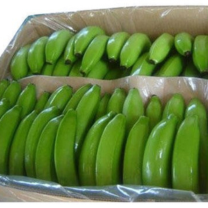 Top-Rated Premium Organic Cavendish <b>Bananas</b> Fresh Yellow Cavendish with Long Green Pattern Ready for Export From Farms - Product Image 5
